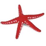 Explorando la riqueza artística de los peces del Mar Rojo: Análisis y comparativa de las mejores representaciones en obras de arte