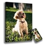 Análisis comparativo de los mejores cuadros pintados a mano personalizados: ¡Encuentra la obra perfecta para ti! Análisis comparativo de los mejores cuadros pintados a mano personalizados: ¡Encuentra la obra perfecta para ti!