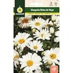 Reinas Margaritas: Análisis y Comparativa de Obras Maestras Inspiradas en la Belleza de la Naturaleza Reinas Margaritas: Análisis y Comparativa de Obras Maestras Inspiradas en la Belleza de la Naturaleza